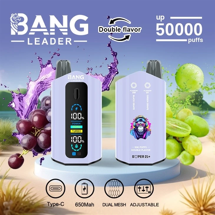 bang leader 50000 puffs dual rotary